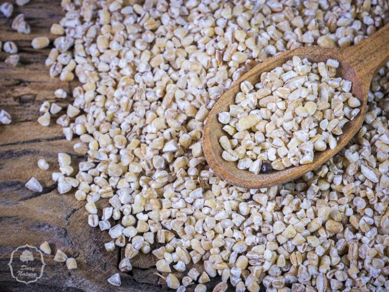 Jak wzbogacić smak kaszy jęczmiennej? Oto sposoby na doskonałe doprawienie!