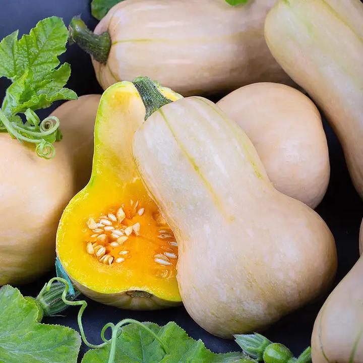 Odkryj, jaka dynia sprawdzi się najlepiej w zupie kremowej
