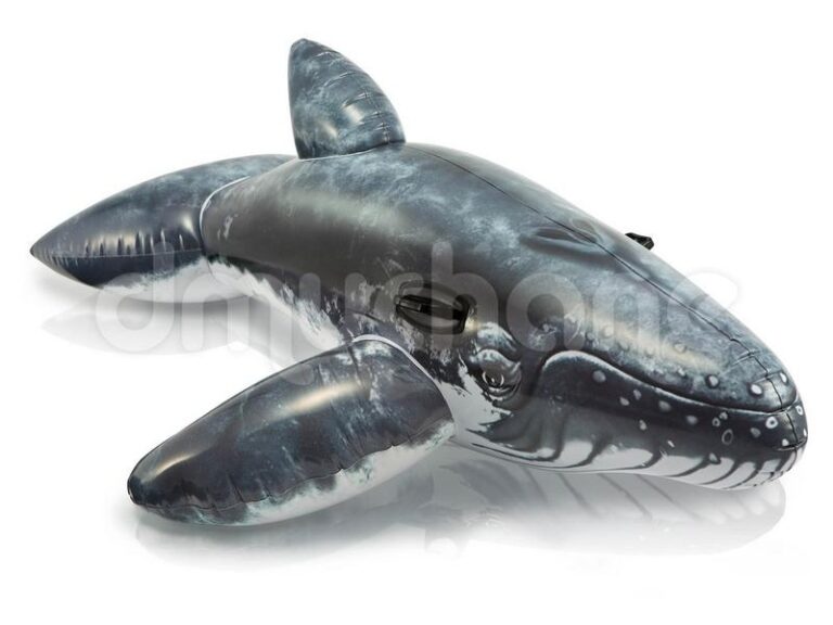 Odkrywając niezwykły smak wieloryba – co warto wiedzieć?