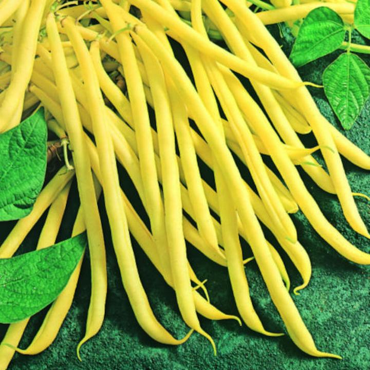 Sekrety gotowania żółtej fasolki – prosty przepis na pyszne danie