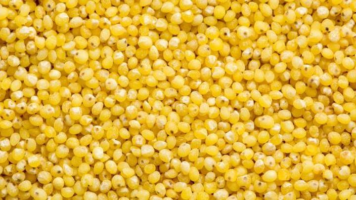 Jak ugotować kaszę jaglaną