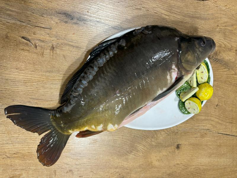 Przepisy na karpia i porady kuchenne