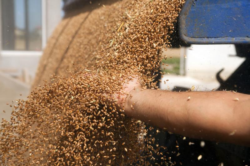Superfoods i ziarna jako zamienniki