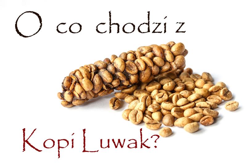 Zalety i wady kopi luwak