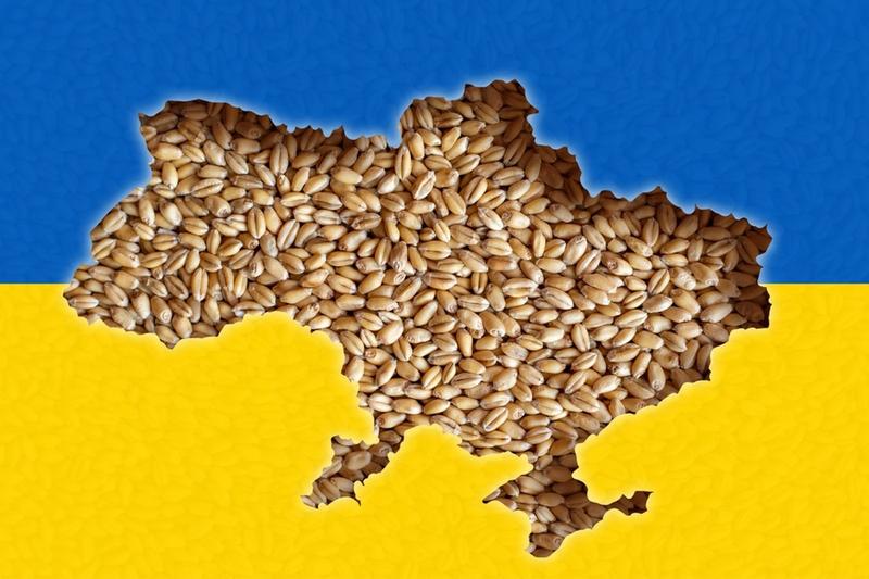 Alternatywy dla amarantusa ekspandowanego – czym warto go zastąpić?