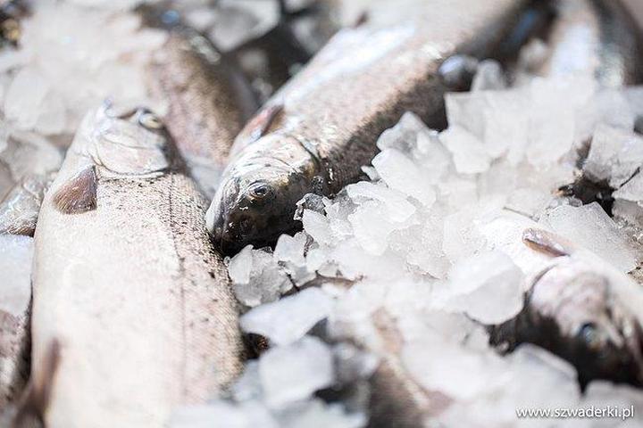 Jak długo można przechowywać rybę smażoną w lodówce?