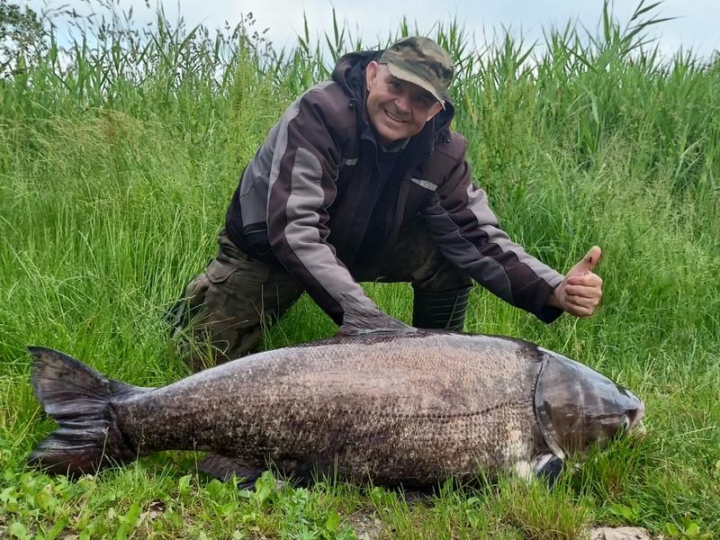Jak smakuje tołpyga? Odkrywamy jej wyjątkowy smak i zastosowanie w kuchni