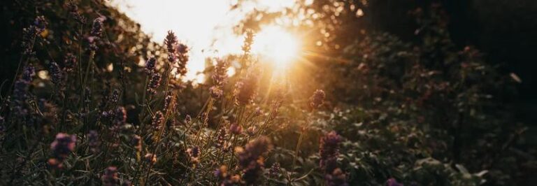 Alternatywy dla kremu z filtrem – jak chronić skórę latem?