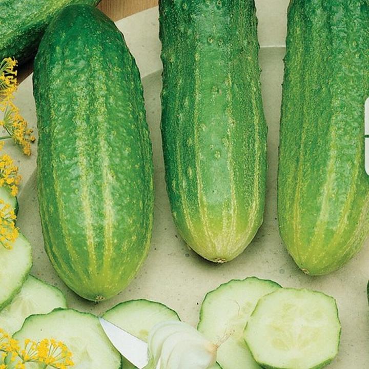 Idealny ogórek do sałatki jarzynowej – odkryj najlepsze wybory!