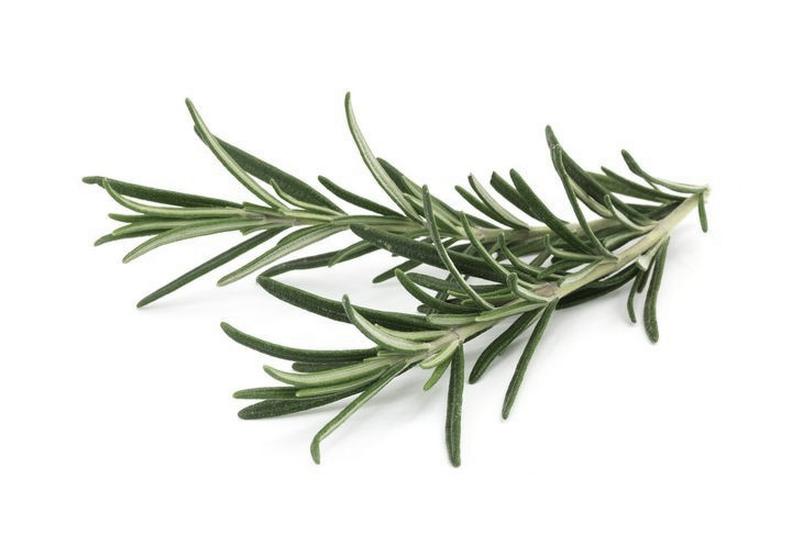 Aromatyczne zioła w kuchni