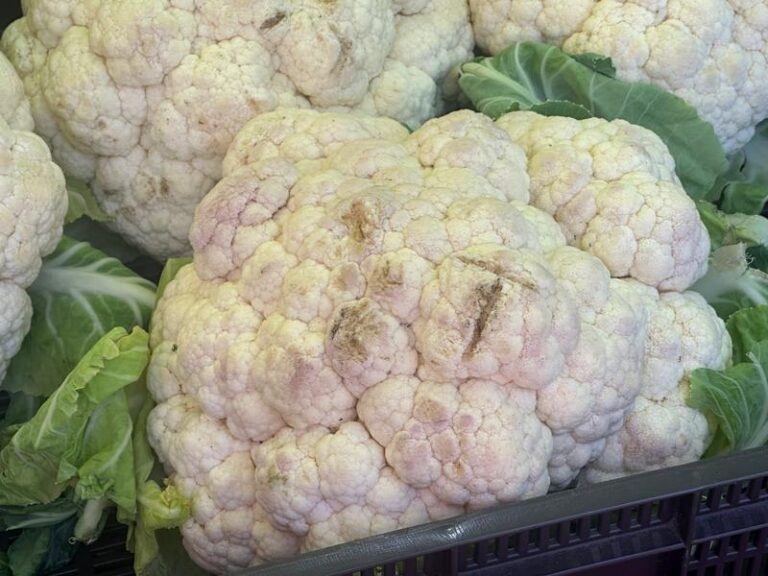 Jak gotować kalafior, by zachwycić smakiem?