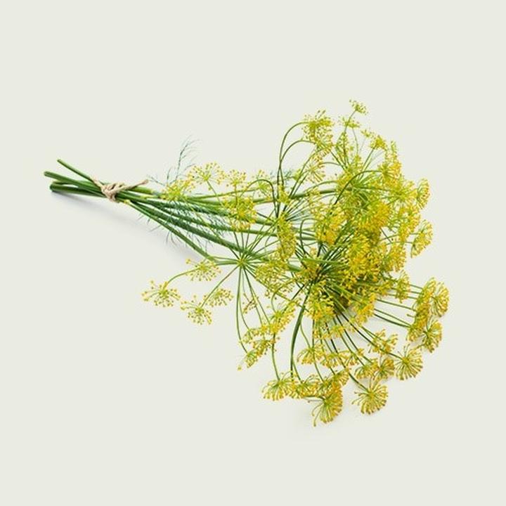 Odkryj, jaka przyprawa do dorsza nada mu niezapomniany smak